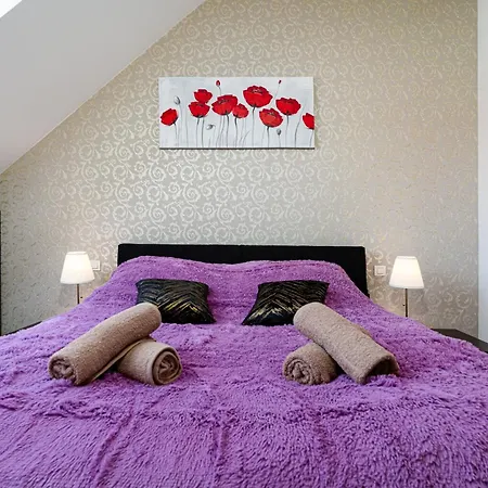 Golden Rabbit Appartement *